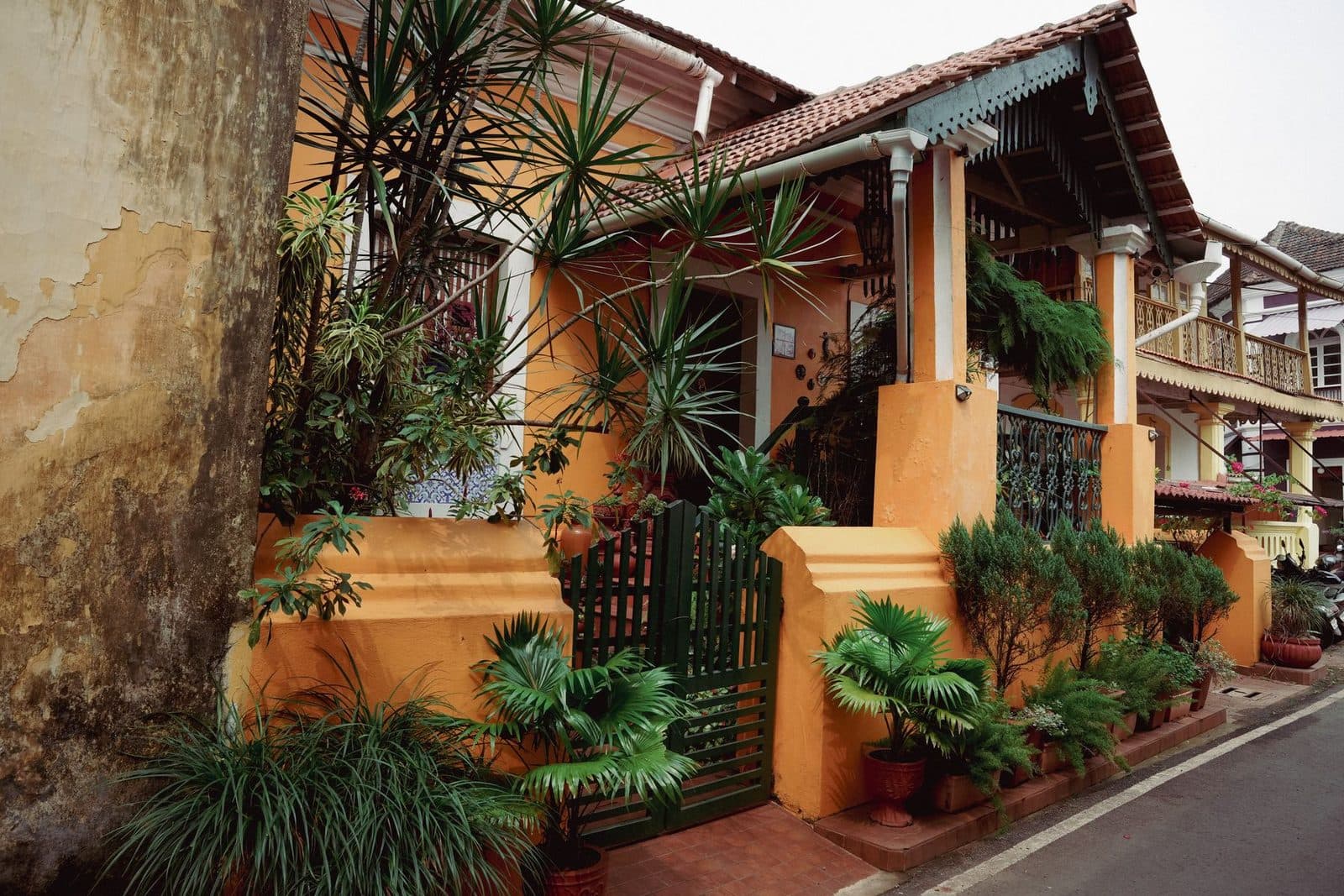 An ochre Goan heritage house with a tiled roof, carved eaves and a porch full of potted palms.