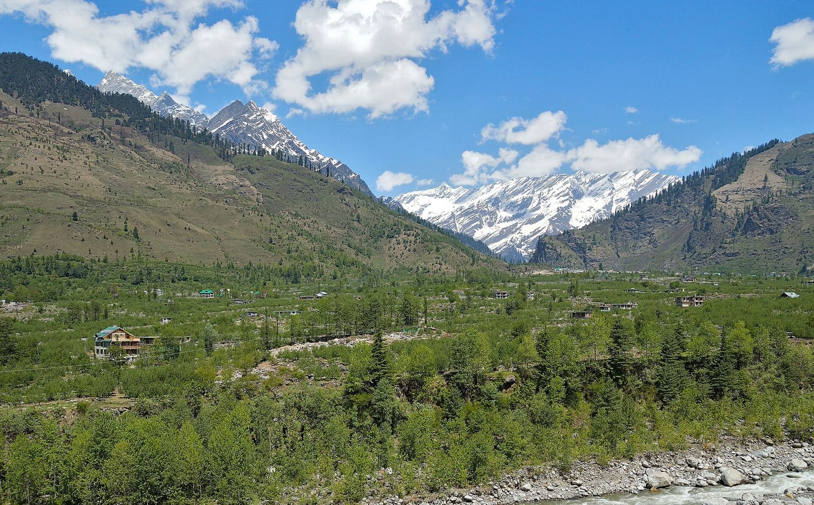 The green Beas valley at Palchan near Manali, with snow peaks behind.