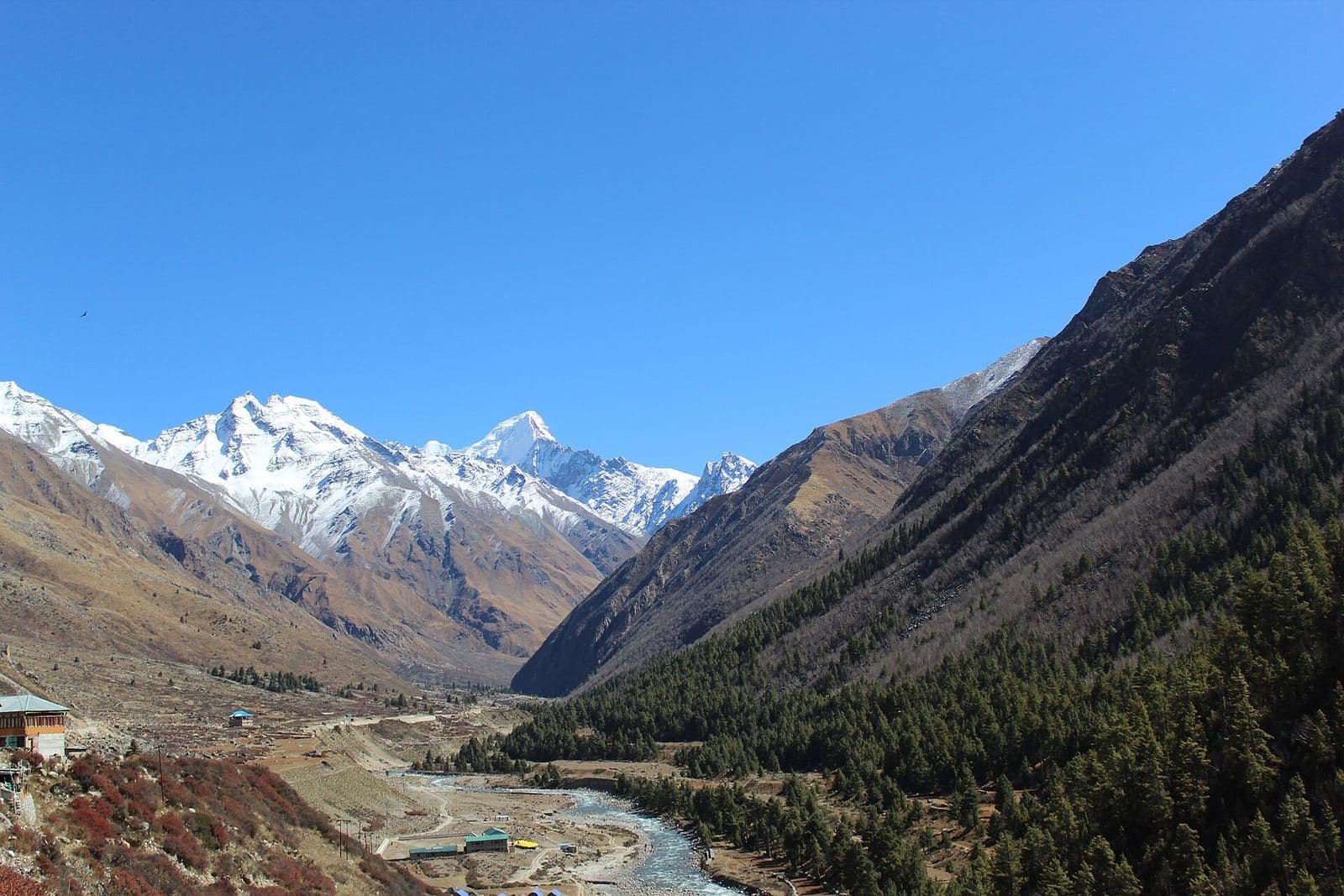 The Baspa valley at Chitkul, with snow peaks at its head.