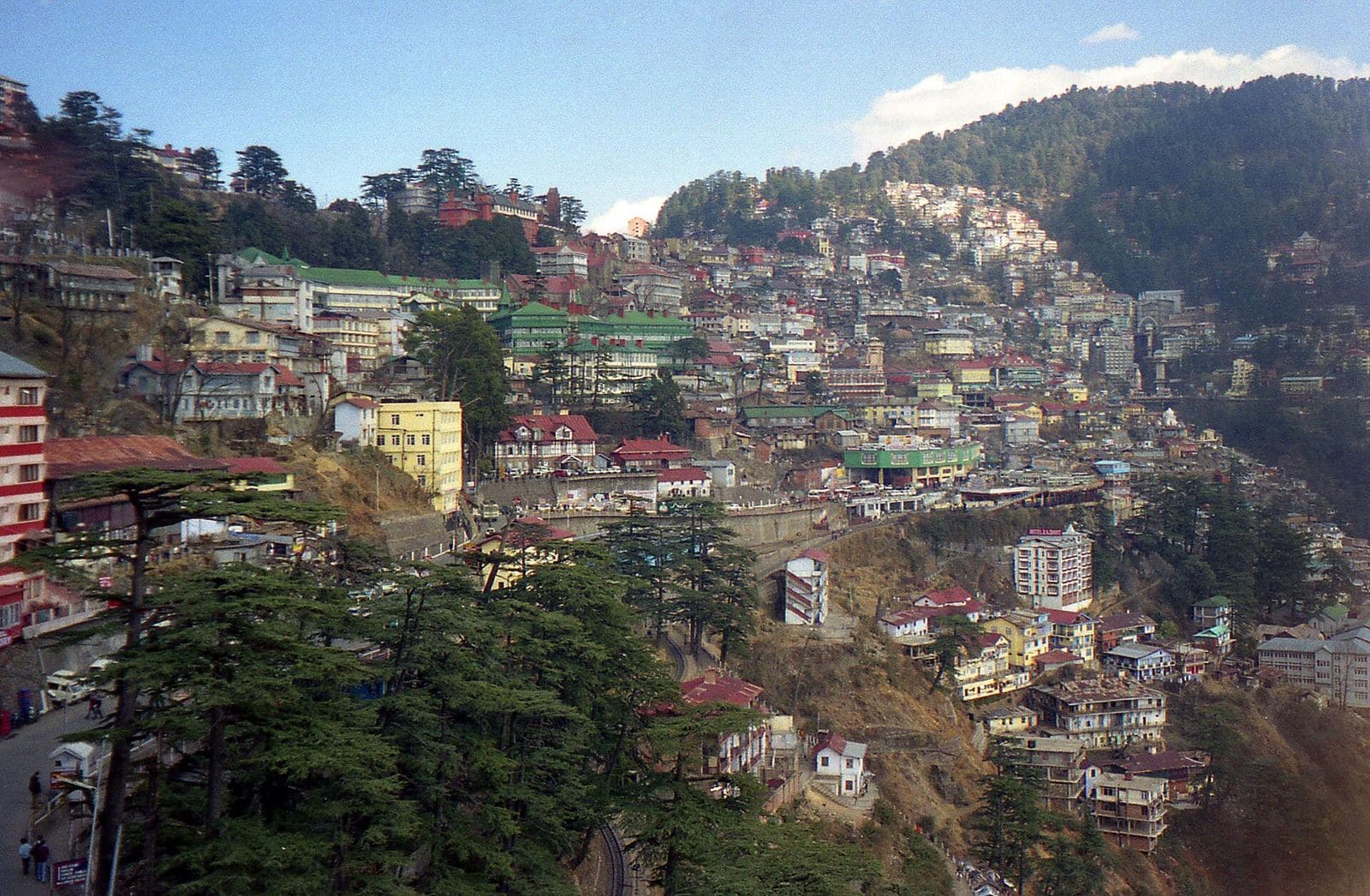 Houses and hotels of Shimla stacked down a forested hillside.