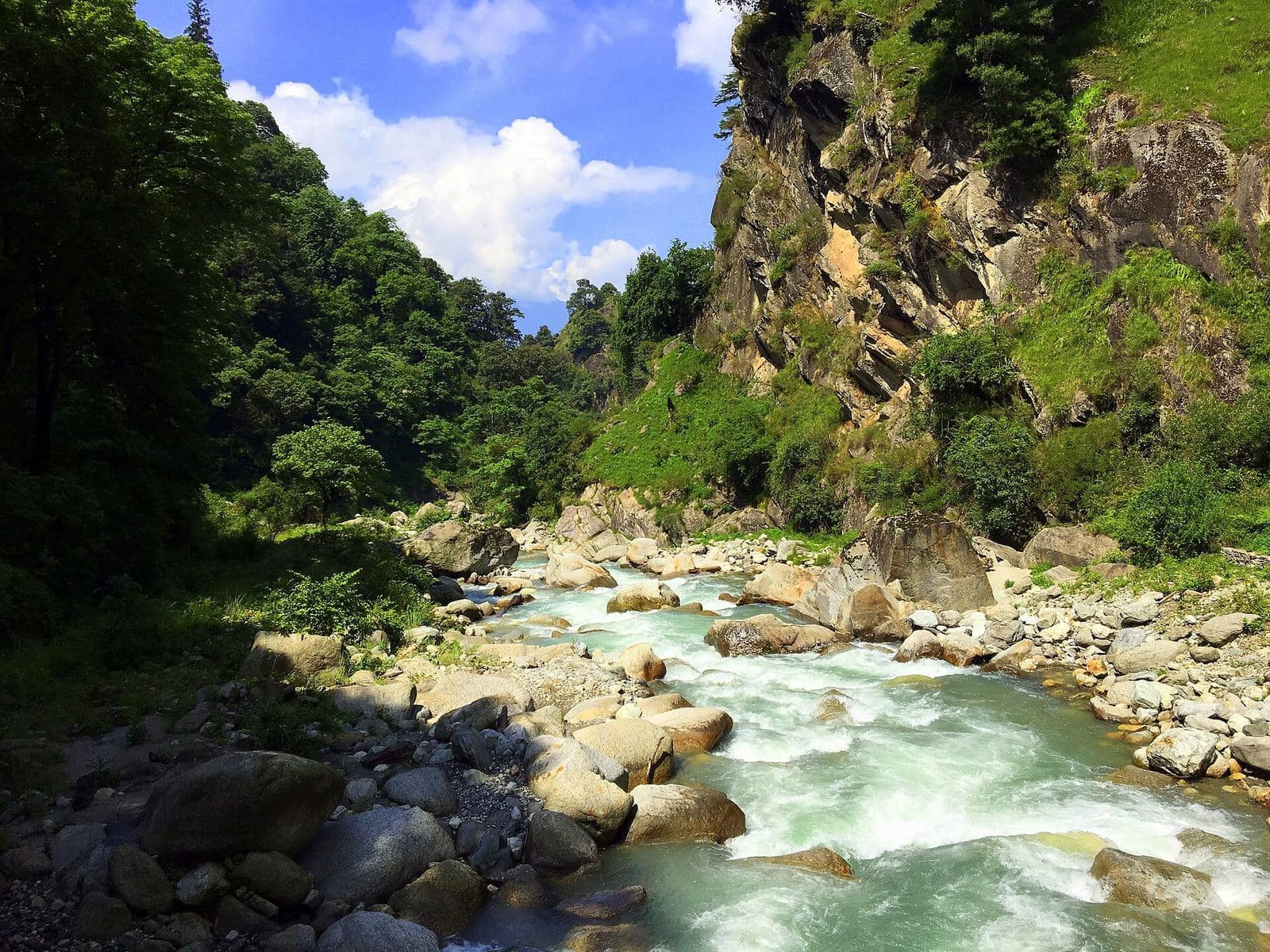 The Tirthan river running over boulders through a green gorge.