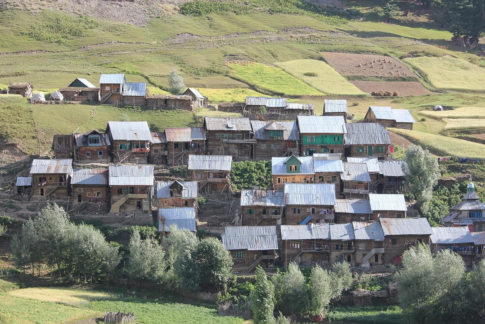 Wooden houses of a village in the Gurez valley, among green fields.