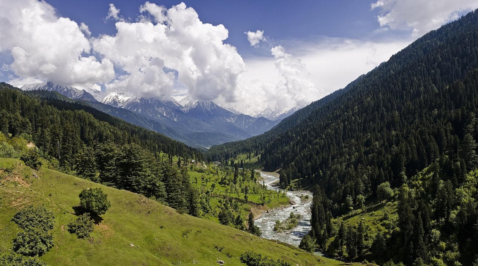 The green Lidder valley at Pahalgam, with pine forest, the river and snow peaks.