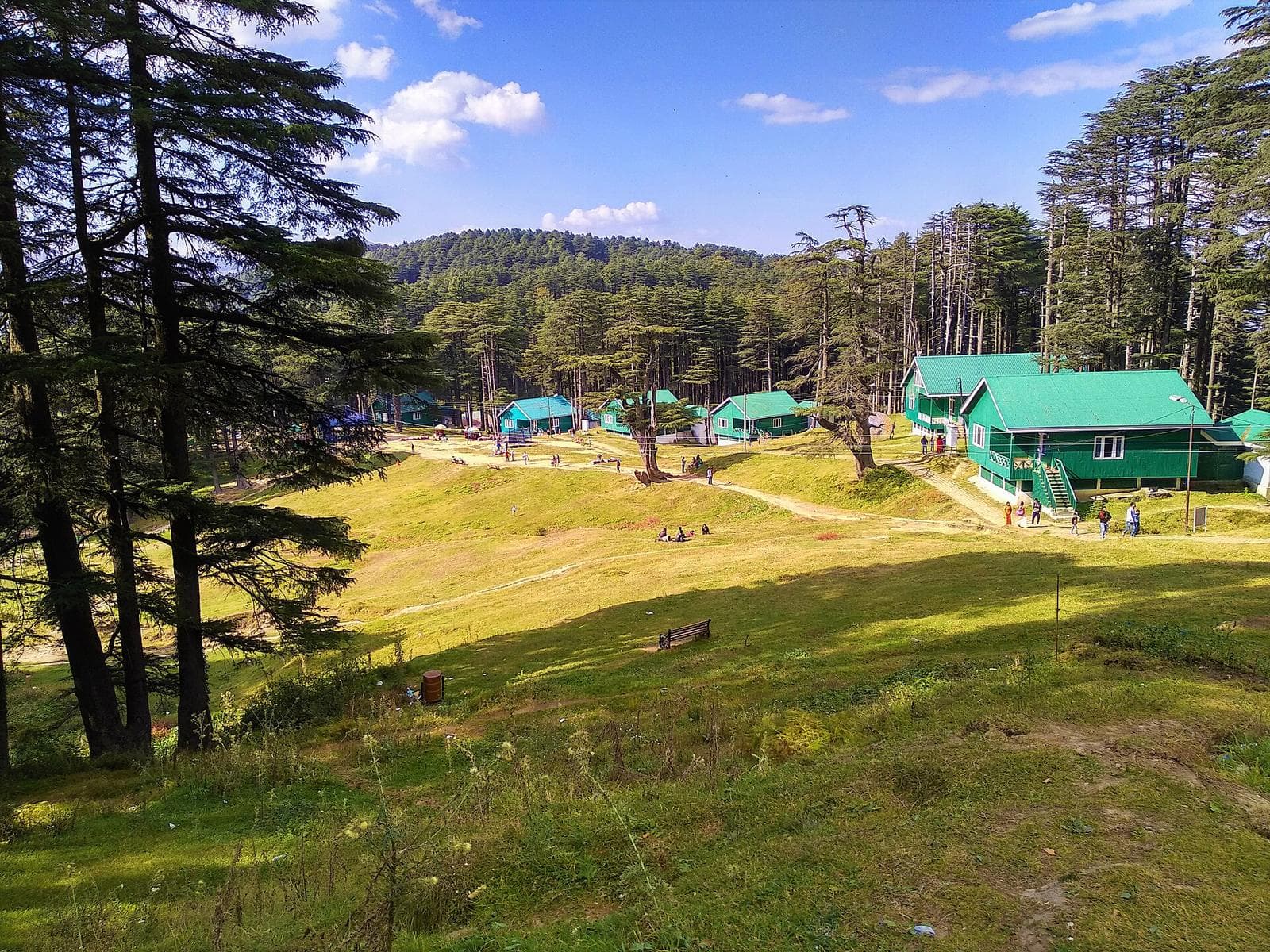Tourist cottages on a grassy meadow among tall deodar trees at Patnitop.