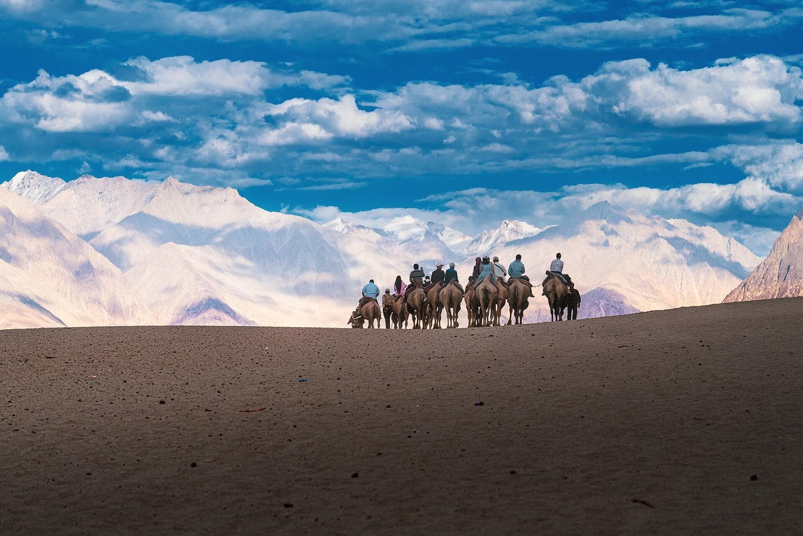 A line of riders on camels crossing the sand dunes of the Nubra valley, with mountains behind.